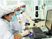 Các tổ chức nghiên cứu công lập: Điều kiện để hoạt động hiệu quả?