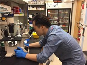 Sản xuất vaccine cúm A/H5N1: Chủ động tạo giống gốc của Việt Nam