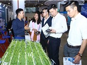 TECHFEST 2020: Các làng công nghệ trước giờ G!