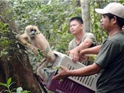 Nghiên cứu dữ liệu di truyền của động vật hoang dã: “Chìa khóa” giúp bảo tồn các loài nguy cấp đúng cách