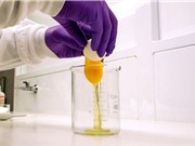 Thuốc xịt mũi làm từ kháng thể gà giúp chống virus corona