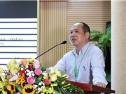 Lợn sống sót trong các ổ dịch tả lợn châu Phi ở Việt Nam: Kết quả nghiên cứu bước đầu