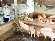 Tối ưu công nghệ xử lý yếm khí nước thải giàu hữu cơ