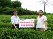 Phân bón nhả chậm: Bón một lần cho cả vụ canh tác
