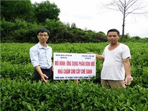 Phân bón nhả chậm: Bón một lần cho cả vụ canh tác