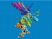 Hình ảnh 3D đầu tiên về nhiễm sắc thể người