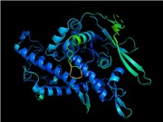 AI của Deepmind "thay đổi cuộc chơi" giải cấu trúc protein