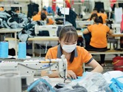 Bộ công cụ ViPA: Gợi ý lối đi giữa “ma  trận” chuyển đổi số