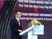 Phó Thủ tướng Vũ Đức Đam: Đã phát triển là phải bền vững