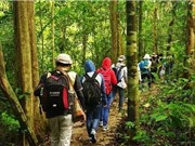 30 đơn vị du lịch cam kết bảo vệ môi trường và động vật hoang dã