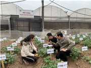 Hơn một thập kỷ nhân duyên ‘ba nhà’