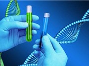 Ứng dụng phân tích DNA đầu tiên trên điện thoại 