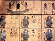 Hộp sọ khỉ đầu chó 3.300 tuổi hé lộ lịch sử vương quốc cổ đại bí ẩn
