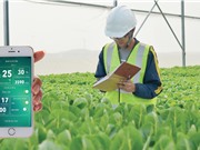Nông nghiệp công nghệ cao: Trọng tâm của startup Việt Nam?