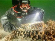 Cỗ máy mật mã Enigma dưới đáy biển Baltic