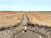 Mặn có thể xảy ra sớm và kéo dài ở đồng bằng Sông Cửu Long
