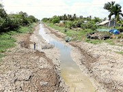 ĐBSCL: Mặn có thể xâm nhập sâu do Trung Quốc giảm xả nước 