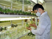 3 nội dung chính trong lần thứ ba sửa đổi Luật Sở hữu trí tuệ 