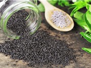 Nghiên cứu khả năng kiểm soát béo phì của hạt é 