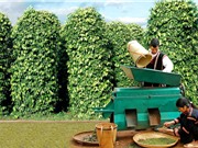Sửa đổi Luật Sở hữu trí tuệ: Cân bằng giữa yêu cầu quốc tế và lợi ích quốc gia
