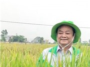 Tản mạn ngày xuân trên ruộng đồng
