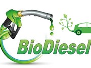 Sản xuất biodiesel với giá thành thấp: Một bước ngoặt mới