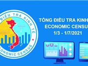Từ hôm nay, bắt đầu tổng điều tra kinh tế năm 2021