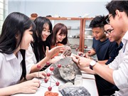 Tăng cường quyền tự chủ đại học: Bốn đề xuất