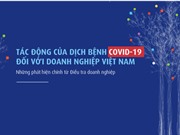 Gần 2/3 doanh nghiệp giảm 34% doanh thu do Covid-19