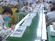 Sửa đổi Luật SHTT: Giải quyết những vấn đề vướng mắc trong thực tế 