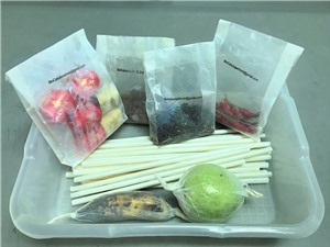 BioCell World - startup khai phá tiềm năng của cellulose sinh học