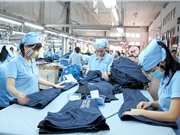 Covid-19: Doanh nghiệp cần tăng tốc số hoá