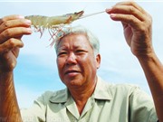 Cần một đội  ngũ nông dân thông minh