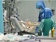 Tế bào T "sát thủ" - Hy vọng trong cuộc chiến chống dịch COVID-19