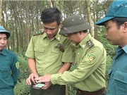 Công nghệ 4.0 góp phần giải bài toán môi trường
