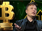 Doanh nghiệp có nên đầu tư bitcoin?