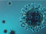 SARS-CoV-2 có thể đã lưu hành từ giữa tháng 10/2019