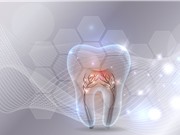 Thuốc mới giúp tái tạo răng đã mất