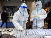 Truy tìm nguồn gốc COVID-19: Không dễ trả lời