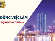 [Infographic] Bức tranh lao động – việc làm quý I/2021