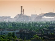 Phát hiện mới về ảnh hưởng di truyền của bức xạ từ thảm họa Chernobyl