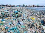 Biến đổi rác thải nhựa thành nhiên liệu