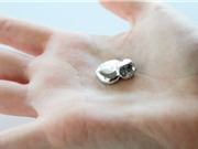 Giới khoa học kêu gọi bắt buộc tái chế những sản phẩm chứa kim loại hiếm