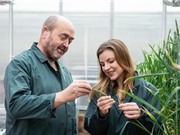 Châu Âu bật đèn xanh cho chỉnh sửa gene trong nông nghiệp