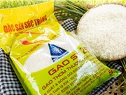 Bảo hộ nhãn hiệu nổi tiếng: Không dễ tìm sự cân bằng lợi ích