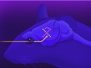 Não bộ “xoay chiều” ký ức để bảo vệ nó khỏi thông tin cảm giác mới