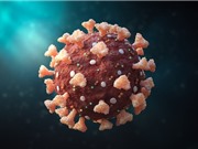 Thử nghiệm vaccine của Medicago, GSK đạt kết quả ban đầu khả quan