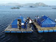 Úc bổ sung 3,5 triệu AUD cho chương trình Aus4Innovation