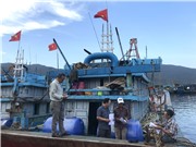 Kỳ 4: ‘Tôi sẽ trở về đất liền tham gia bỏ phiếu’
