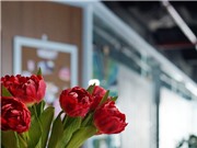 Cuốn cẩm nang cho năng suất và sáng tạo